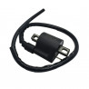 BOBINA DE ENCENDIDO HELLUX HEZY074