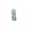 LAMPARA INCANDESCENTE MAGNETI MARELLI R0038221