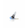 LAMPARA HALOGENA PHILIPS PH12336C1