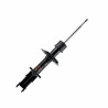 AMORTIGUADOR DE SUSPENSION COFAP GP30130GY