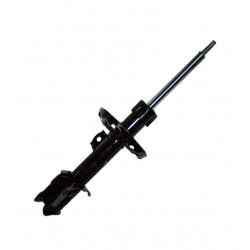 AMORTIGUADOR DE SUSPENSION COFAP GP30134GY