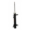 AMORTIGUADOR DE SUSPENSION COFAP GP30231GY