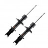 AMORTIGUADOR DE SUSPENSION COFAP GP35971GYB