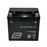 BATERIAS VARIAS HELLUX HGYTX14BS
