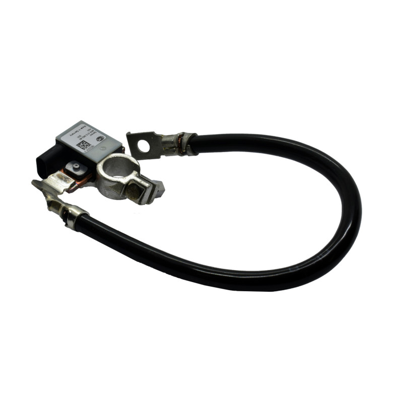 SENSOR INTELIGENTE DE BATERIA HELLA 6PK 010 562-901