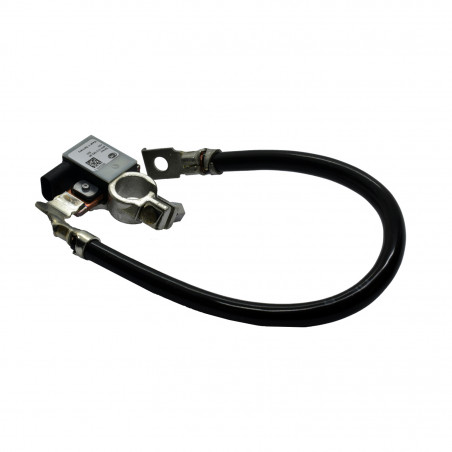 SENSOR INTELIGENTE DE BATERIA HELLA 6PK 010 562-901