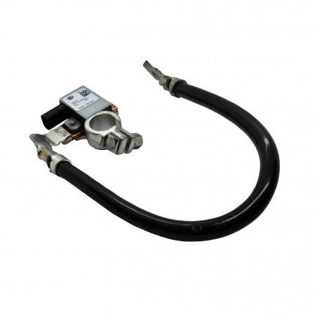 SENSOR INTELIGENTE DE BATERIA HELLA 6PK 012 835-911