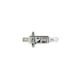 HALOGENOS HELLA H1 24V
