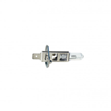 HALOGENOS HELLA H1 24V
