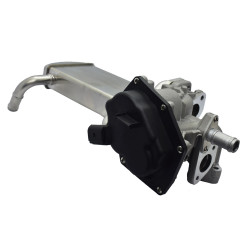 VALVULA DE RECIRCULACION DE GASES (EGR) HELLUX HE03L131512BN