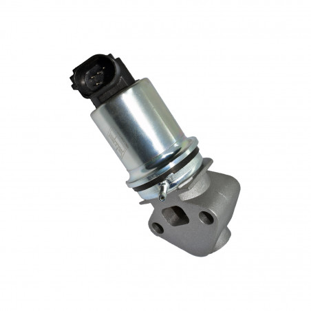 VALVULA DE RECIRCULACION DE GASES (EGR) HELLUX HE06A131501G