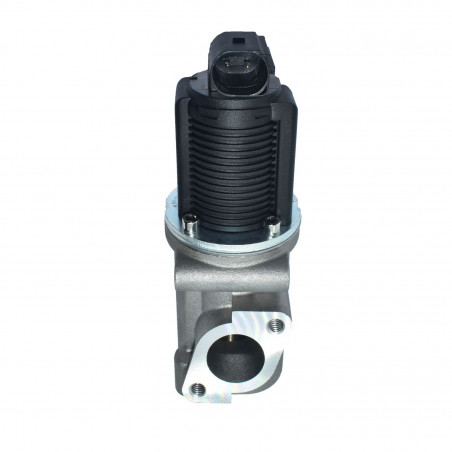 VALVULA DE RECIRCULACION DE GASES (EGR) HELLUX HE55186214