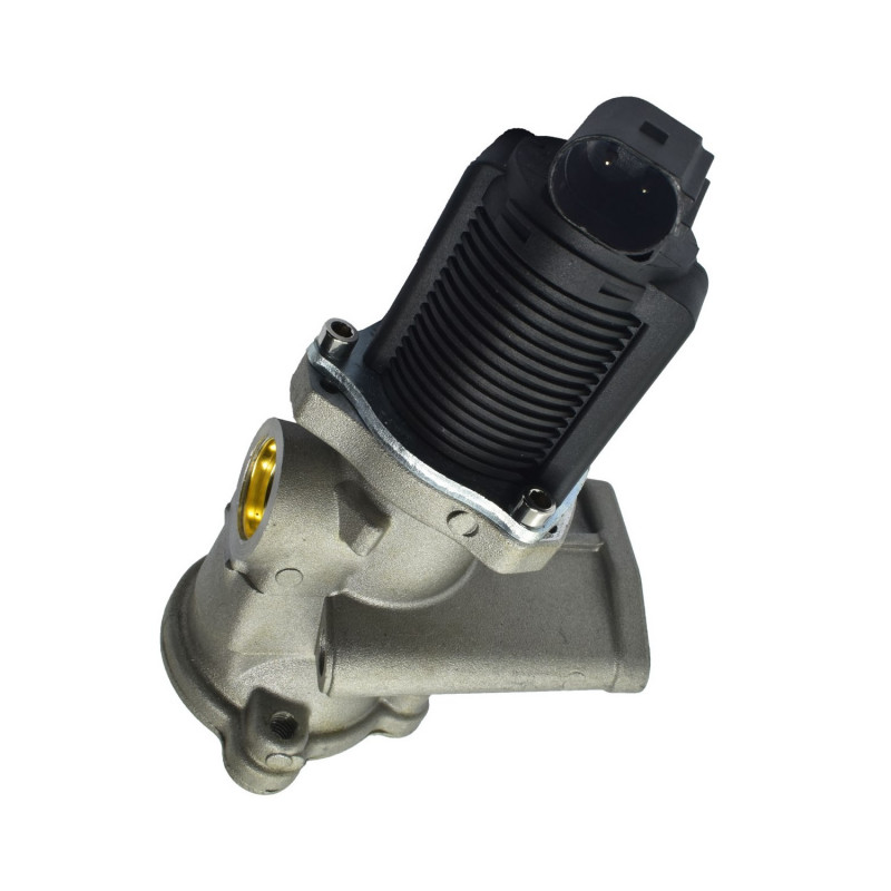 VALVULA DE RECIRCULACION DE GASES (EGR) HELLUX HE55219498
