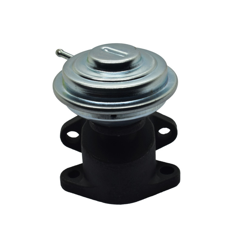 VALVULA DE RECIRCULACION DE GASES (EGR) HELLUX HE59131503
