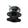 VALVULA DE RECIRCULACION DE GASES (EGR) HELLUX HE59131503