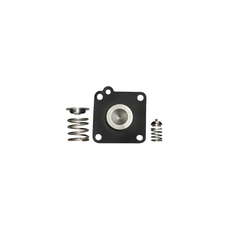 KIT DE REGULADOR DE PRESION DS M1411