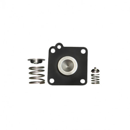 KIT DE REGULADOR DE PRESION DS M1411