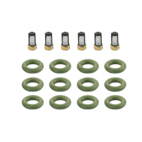 KIT DE FILTROS Y ORINGS DS M1206