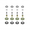 KIT DE FILTROS Y ORINGS DS M1281