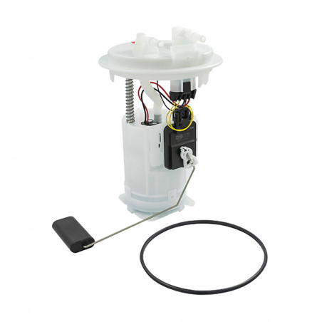MODULO DE COMBUSTIBLE COMPLETO NAFTA (AFORADOR) DS M26067