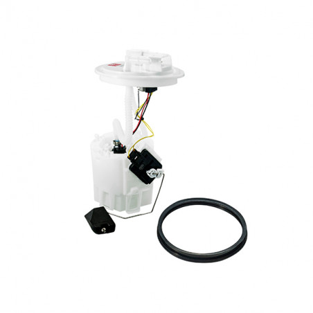 MODULO DE COMBUSTIBLE COMPLETO NAFTA (AFORADOR) DS M26085