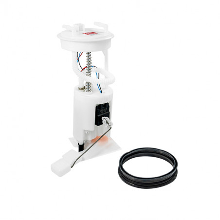MODULO DE COMBUSTIBLE COMPLETO NAFTA (AFORADOR) DS M26094