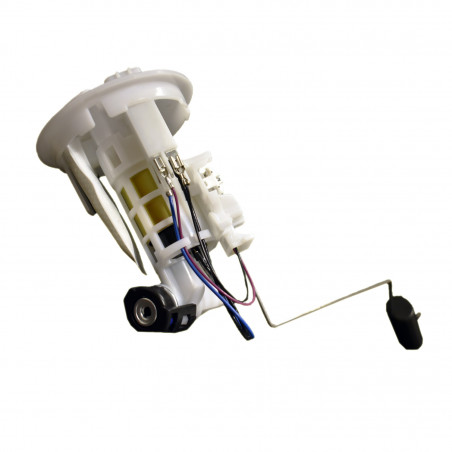 MODULO DE COMBUSTIBLE COMPLETO NAFTA (AFORADOR) HELLUX HE1S41391001