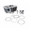 CONJUNTO DE MOTOR MAHLE K0510500