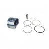 SUBCONJUNTO DE MOTOR MAHLE S51500050