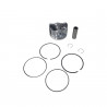 SUBCONJUNTO DE MOTOR MAHLE S0510920 STD