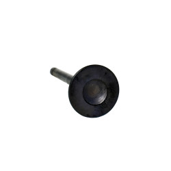 VALVULA DE ESCAPE MAHLE VE0520200