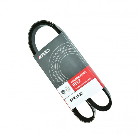 CORREA POLIV DE ACCESORIOS FED FED5PK1030