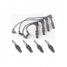 KITS DE PIEZAS DE ENCENDIDO MAGNETI MARELLI KCB0009