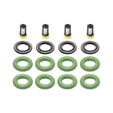 KIT DE FILTROS  ORINGS Y PUNTERAS DS M1249
