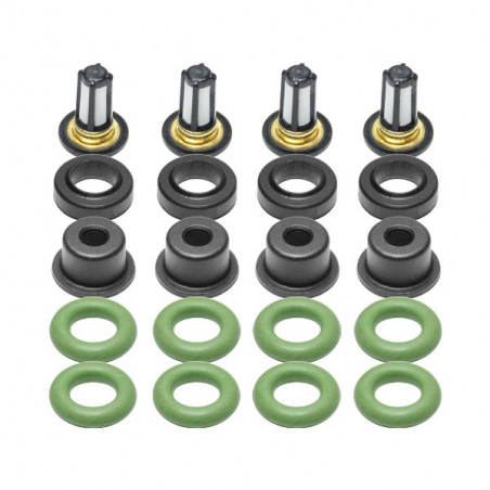 KIT DE FILTROS ORINGS ASIENTOS GOMA Y PUNTERAS DS M1254