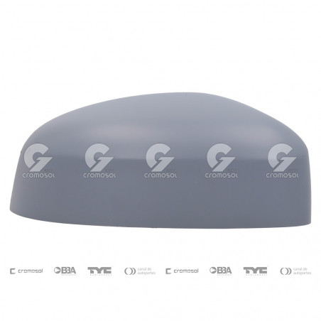 TAPA DE ESPEJO RETROVISOR EXTERIOR FTM 16956/6D