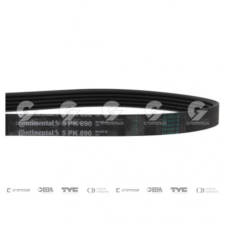 CORREA POLIV DE ACCESORIOS CONTINENTAL 5300/20