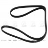 CORREA POLIV DE ACCESORIOS CONTINENTAL 5319/20