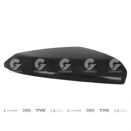TAPA DE ESPEJO RETROVISOR EXTERIOR GIVING 17139/10D