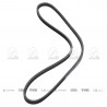 CORREA POLIV DE ACCESORIOS CONTINENTAL 5425/20