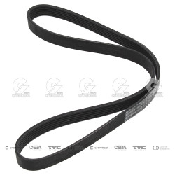 CORREA POLIV DE ACCESORIOS...