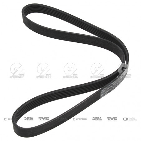 CORREA POLIV DE ACCESORIOS CONTINENTAL 5427/20