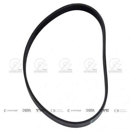 CORREA POLIV DE ACCESORIOS CONTINENTAL 5565/21
