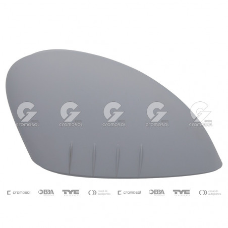 TAPA DE ESPEJO RETROVISOR EXTERIOR FTM 17327/6D