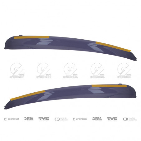 DEFLECTOR DE VENTANILLA IND.ARG. 17358