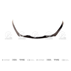 DEFLECTOR DE CAPOT IND.ARG....